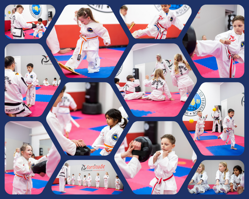 Martial Arts Classes 3 to 6 year olds